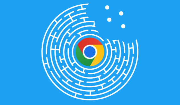 Google Chrome如何管理自动填充数据保护支付信息安全