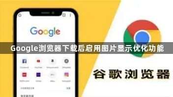 Google浏览器下载后启用图片显示优化功能1