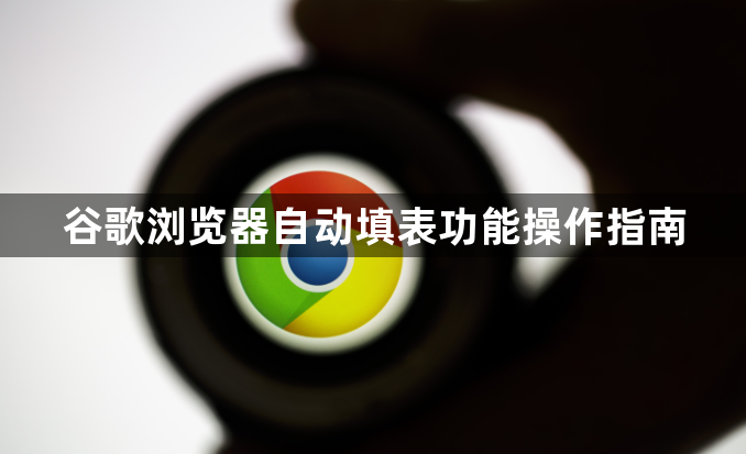 谷歌浏览器自动填表功能操作指南1