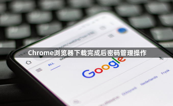Chrome浏览器下载完成后密码管理操作1