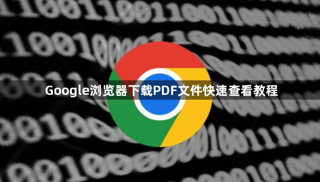 Google浏览器下载PDF文件快速查看教程1