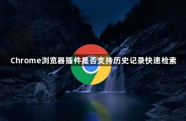 Chrome浏览器插件是否支持历史记录快速检索1
