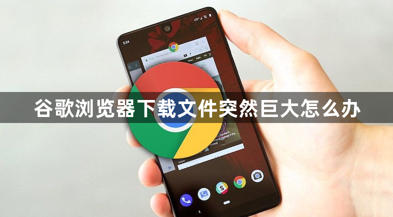 谷歌浏览器下载文件突然巨大怎么办1