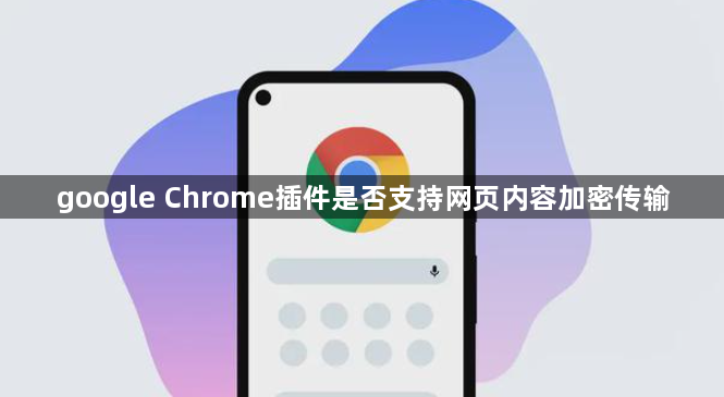 google Chrome插件是否支持网页内容加密传输1