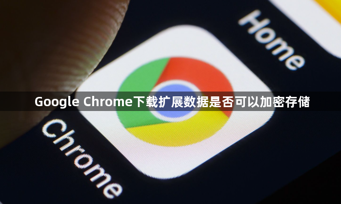 Google Chrome下载扩展数据是否可以加密存储1