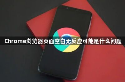 Chrome浏览器页面空白无反应可能是什么问题1