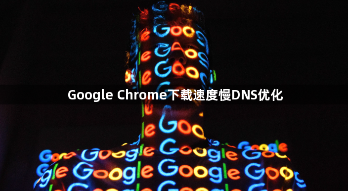 Google Chrome下载速度慢DNS优化1