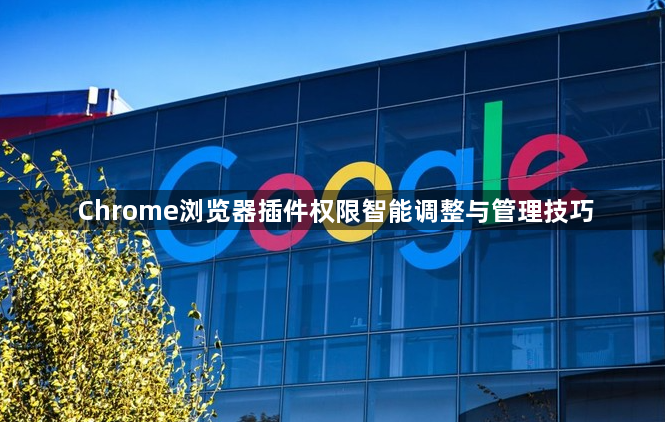 Chrome浏览器插件权限智能调整与管理技巧1